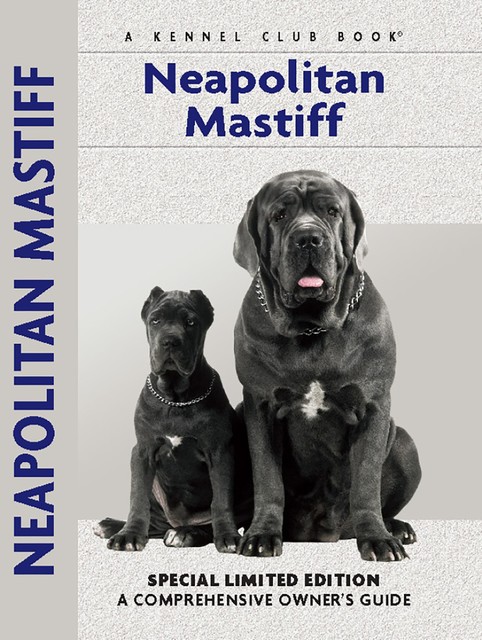 Neapolitan Mastiff, Carol Paulsen