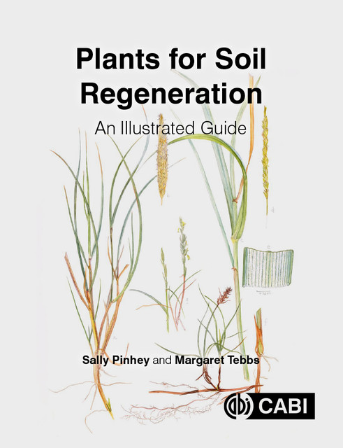 Plants for Soil Regeneration, Sally Pinhey, Margaret Tebbs