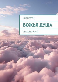 Божья душа, Нил Плёсов