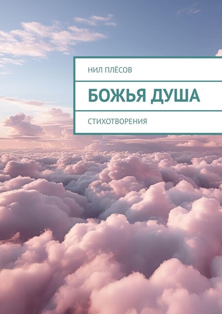 Божья душа, Нил Плёсов