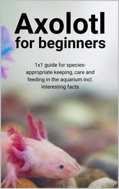 Axolotl for beginners, Thorsten Hawk