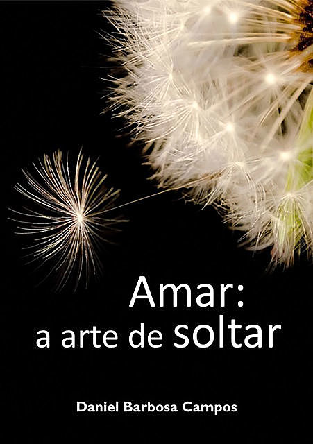 Amar: A Arte De Soltar, Daniel Barbosa Campos