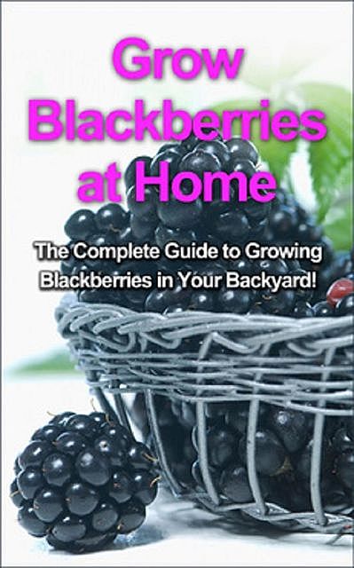 Grow Blackberries at Home, Steve Ryan