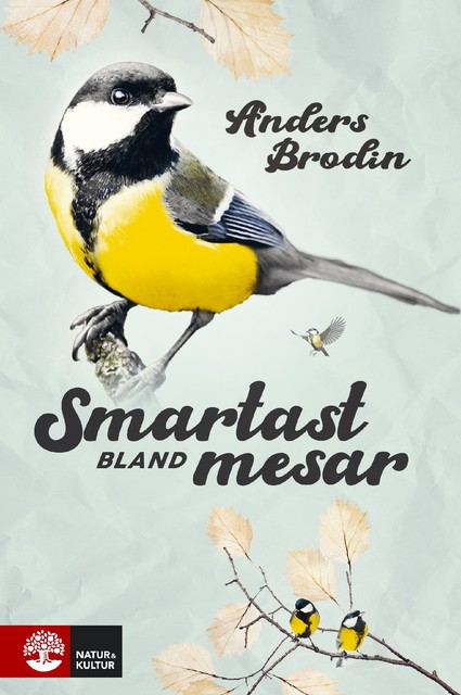 Smartast bland mesar, Anders Brodin