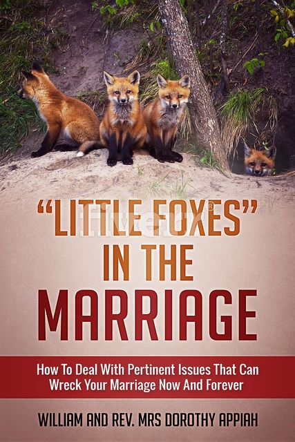 LITTLE FOXES IN THE MARRIAGE, Dorothy Appiah, William Appiah