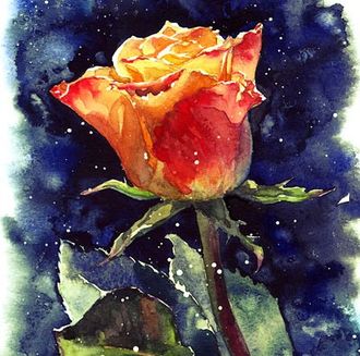 Первая роза, Евгения Сафонова