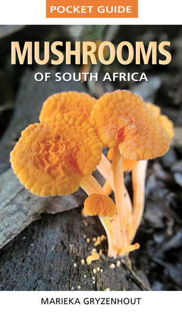 Pocket Guide Mushrooms of South Africa, Marieka Gryzenhout
