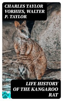 Life History of the Kangaroo Rat, Charles Taylor Vorhies, Walter P. Taylor