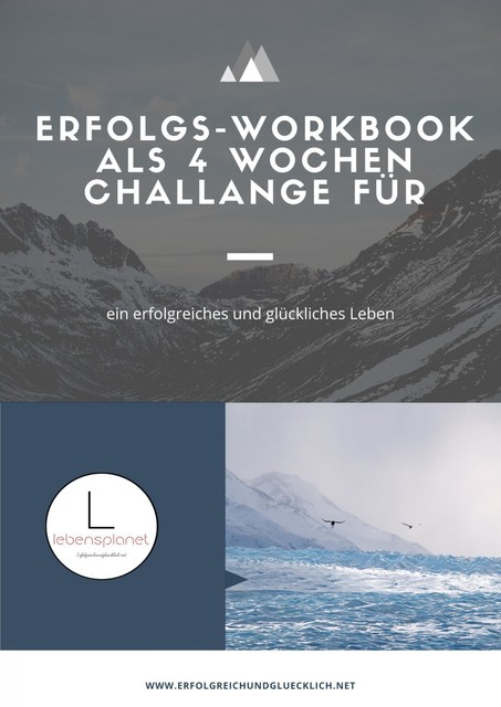 Erfolgs-Workbook, Florian Widera