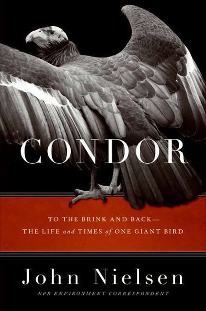 Condor, John Nielsen