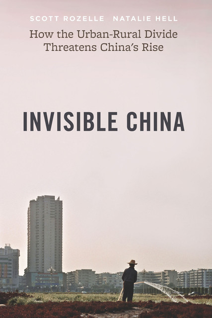 Invisible China, Natalie Hell, Scott Rozelle