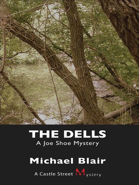 The Dells, Michael Blair