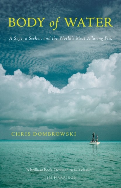 Body of Water, Chris Dombrowski