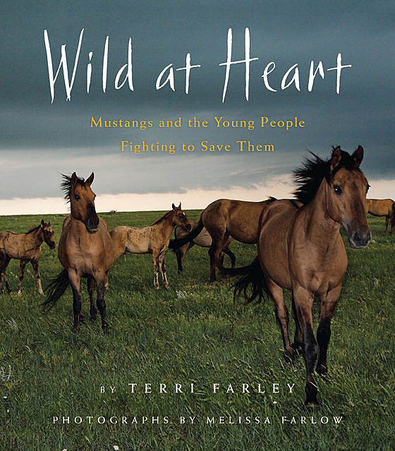 Wild at Heart, Terri Farley