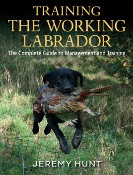 Training The Working Labrador, Jeremy Hunt