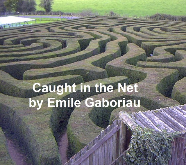 Caught in the Net, Émile Gaboriau