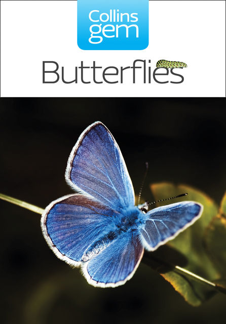 Butterflies (Collins Gem), Michael Chinery