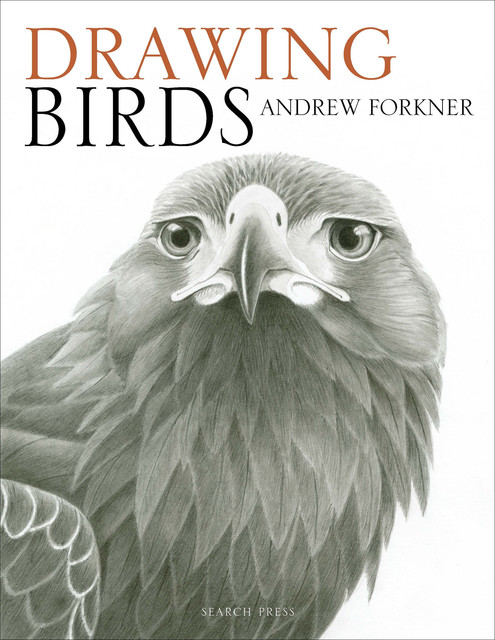 Drawing Birds, Andrew Forkner