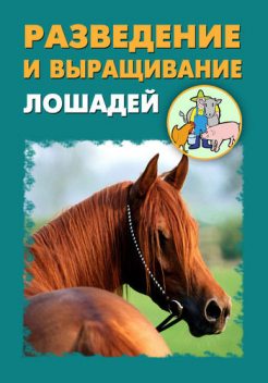 Разведение и выращивание лошадей, Илья Мельников
