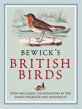 Bewick’s British Birds, Thomas Bewick