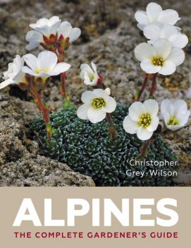 Alpines, Christopher Wilson