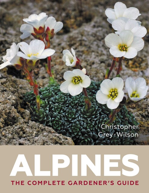 Alpines, Christopher Wilson