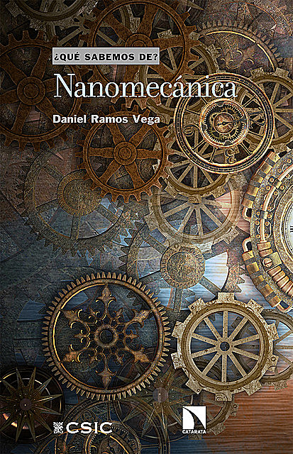 Nanomecánica, Daniel Vega