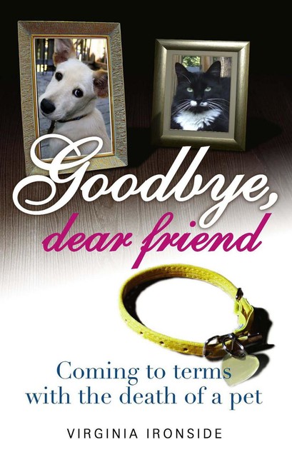Goodbye, Dear Friend, Virginia Ironside