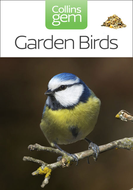 Garden Birds (Collins Gem), Stephen Moss