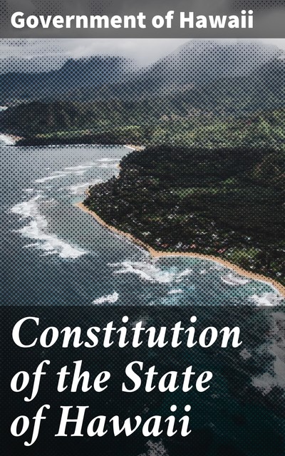 Constitution of the State of Hawaii, Government of Hawaii