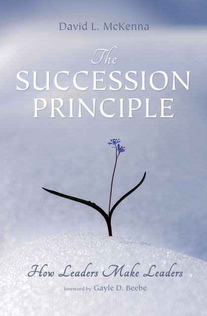 The Succession Principle, David McKenna