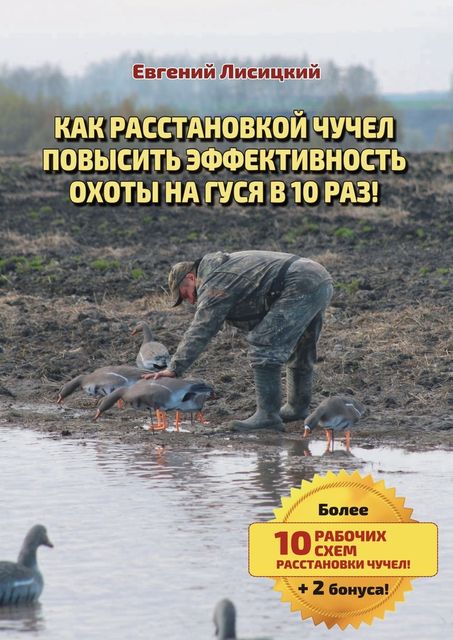 Как расстановкой чучел повысить эффективность охоты на гуся в 10 раз, Евгений Лисицкий
