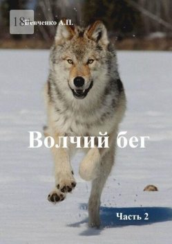 Волчий бег. Часть 2, Александр Шевченко
