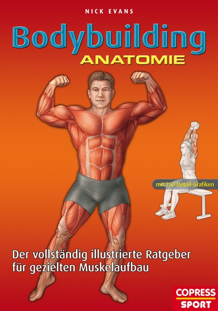 Bodybuilding Anatomie, Nick Evans