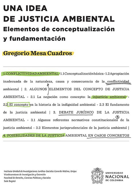 Una idea de justicia ambiental, Gregorio Mesa Cuadros
