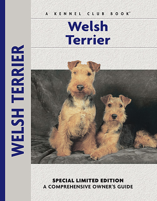 Welsh Terrier, Bardi McLennan