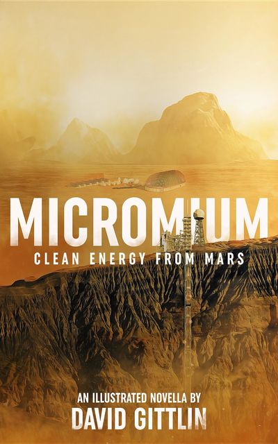 Micromium, David B Gittlin