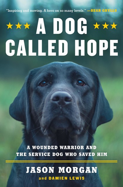 A Dog Called Hope, Damien Lewis, Jason Morgan