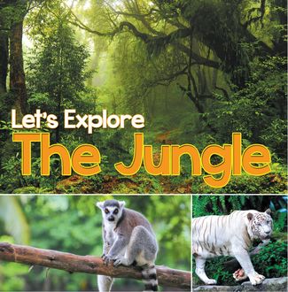 Let's Explore the Jungle, Baby Professor