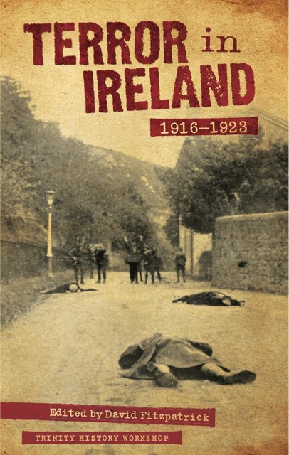Terror in Ireland 1916–1923, David Fitzpatrick, 9781843513179