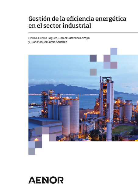 Gestión de la eficiencia energética en el sector industrial, Juan Manuel García Sánchez, Daniel Gordaliza Lozoya, María I. Cubillo Sagüés