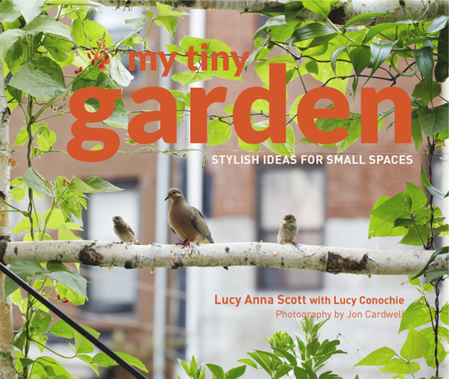 My Tiny Garden, Jon Cardwell, Lucy Scott