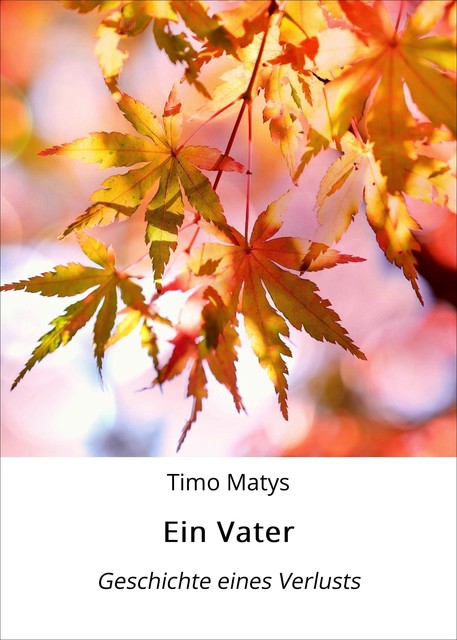 Ein Vater, Timo Matys