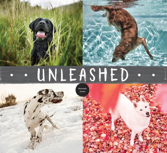 Unleashed, Amanda Jones