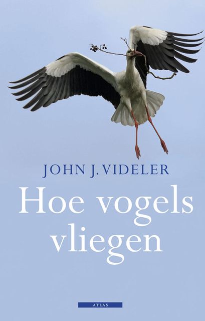 Hoe vogels vliegen, John J. Videler