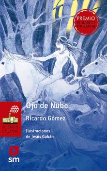 Ojo de Nube, Ricardo Gómez Gil