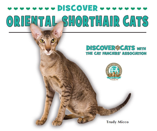 Discover Oriental Shorthair Cats, Trudy Micco