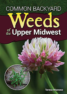 Common Backyard Weeds of the Upper Midwest, Teresa Marrone