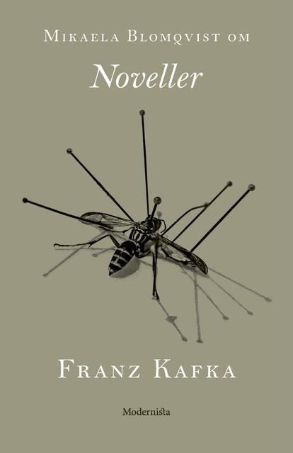 Om Noveller av Franz Kafka, Mikaela Blomqvist