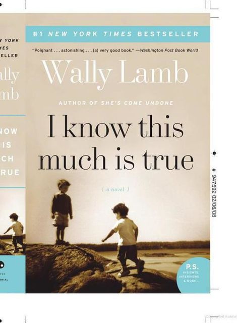 I Know This Much Is True, Wally Lamb